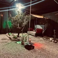 اجاره تولدودورهمی درکافه شمعدونی|خدمات پذیرایی، مراسم|قزوین, |دیوار