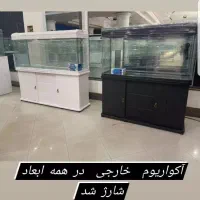 آکواریوم امواج|ماهی|زاهدان, |دیوار