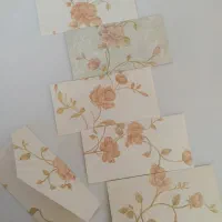 پاکت پول و سکه زیبا و شیک دربسته ها۱۰۰تایی|لوازم التحریر|زنجان, |دیوار