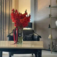 میز کنار سالنی آباژور و قاب عکس