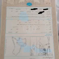 زمین پشت بیمارستان واسعی