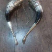 شاخ نوشیدنی یا جام شاخی