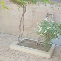 ((دوطبقه دربست))  اسماعیل پور|اجارهٔ خانه و ویلا|مشهد, حسین‌آباد|دیوار