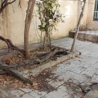 فروش منزل کلنگی در مرکزشهر اردکان|فروش خانه و ویلا|سپیدان, |دیوار