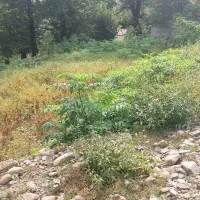 زمین کوهپایه ای/سیاهکل/خرارود
