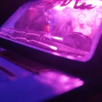 اسباب بازی پنوماتیک پرشیا و نیسان با نورپردازی|اسباببازی|پرند, فاز ۰|دیوار