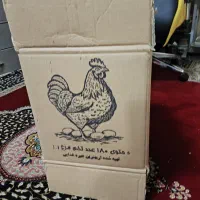 کارتن تخم مرغ