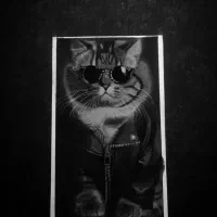 سفارش نقاشی سیاه قلم|تابلو، نقاشی، عکس|قم, شهرک قدس|دیوار