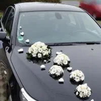 گل آرایی دسته گل عروس و ماشین عروس و باکس گل و ...|گل و گیاه طبیعی|شیراز, جانبازان|دیوار