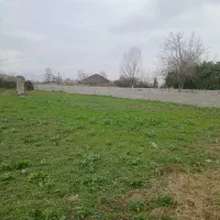 زمین مسکونی ۲۵۵متری