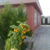 ویلایی-320-متری-شهرجدید-امیر-کبیر