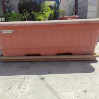 باکس کاشت، درحدنو، مارک گلپونه، درابعاد 1م در 40س|گل و گیاه طبیعی|تهران, حکیمیه|دیوار