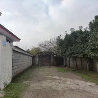 فروش زمین مسکونی تربگوده سند تک برگ دو کله (مالک)|فروش زمین و ملک کلنگی|بندر انزلی, تربه گوده|دیوار