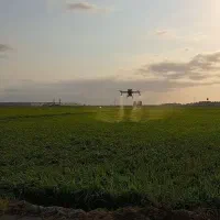 سمپاشی هوایی و محلول پاشی کود