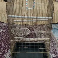 قفس پرنده|لوازم جانبی حیوانات|صائین قلعه, |دیوار