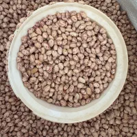 لوبیا چیتی درجه یک نقدی