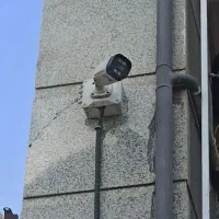 دوربین دام و بالت