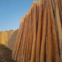 خرید فروش چوب|خدمات باغبانی و درختکاری|خرمآباد, |دیوار