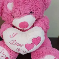 ۲ عدد عروسک خرسی