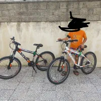 دوچرخه ویوا