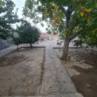 270متر-باغچه-واقع-در-دیزج-امیرمدار