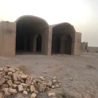 دامداری
