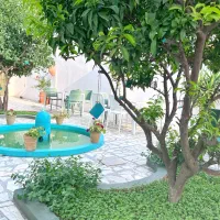 جذب نیروی ویتر و باریستا