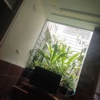 سویت مبله