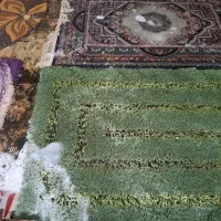 استخدام قالیشویی