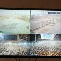 مرغداری ۳۰ هزار قطعه|فروش دفتر صنعتی، کشاورزی، تجاری|اردبیل, |دیوار