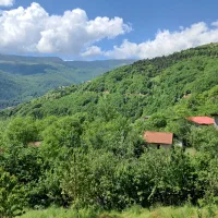 به یک کارگر مرد متاهل نیازمندیم