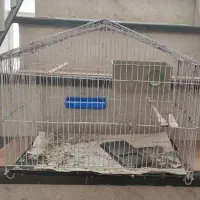 قفس پرنده ( بزرگ )