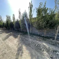 باغ-چهاردیواری-مناسب-تفریح-آخرهفته