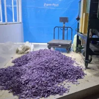 پایگاه گل زعفران|خوردنی و آشامیدنی|سرایان, |دیوار