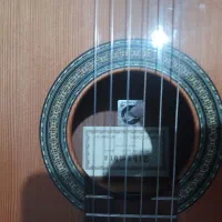 گیتار الحمبرا|گیتار، بیس، امپلیفایر|کرج, شهرک بنفشه|دیوار