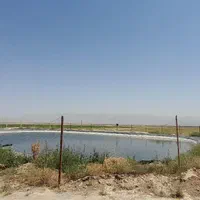 باغ ویلا پنجاه سه هزار متری دو هکتار زعفران|فروش خانه و ویلا|مشهد, هفده شهریور|دیوار