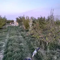 باغچه-1000متری