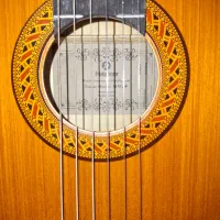 گیتار+mat2|گیتار، بیس، امپلیفایر|فارسان, |دیوار