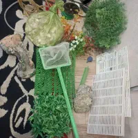 اکواریوم|ماهی|مشهد, تلگرد|دیوار