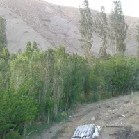 فروش-زمین-باغ-روستای-هرانده