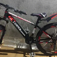 دوچرخه 24حرفه ای