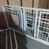 تخت