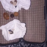 مهره  اصل برای گشایش کار  و رزق روزی،محبت