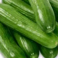 فروش خیار شوری ومجلسی