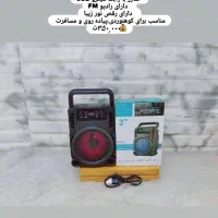 لوازم مسافرتی