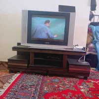 تلویزیون کوچک