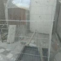 قفس دست دوم