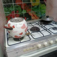 گاز فر دار|اجاق گاز و لوازم برقی پخت‌وپز|شیروان (خراسان), |دیوار