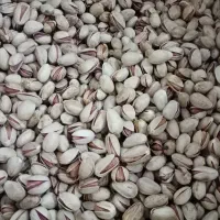 خشکبار|خوردنی و آشامیدنی|سرایان, |دیوار