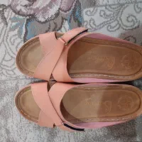 دمپای طبی سایز ۳۸|کیف، کفش، کمربند|پرند, فاز ۵|دیوار